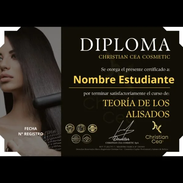 Curso Teoría de los Alisados $USD 30 - Imagen 2